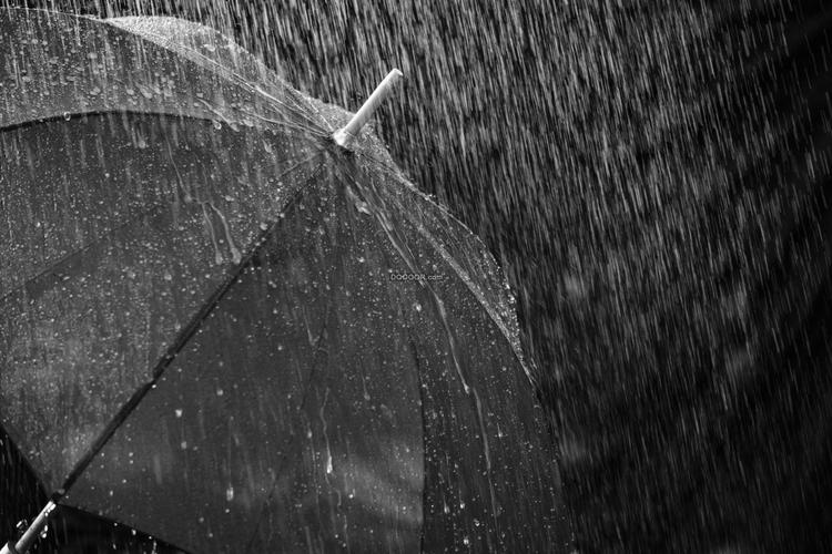00004_雨中的雨伞黑白的世界.jpg