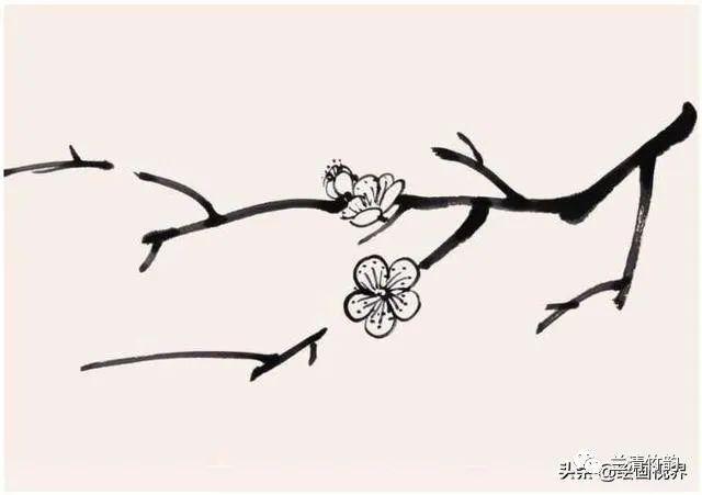 怎样画梅花国画梅花常见枝干的画法