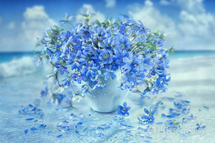 一束蓝铃花在一个花瓶里背景是大海蓝色森林报春花