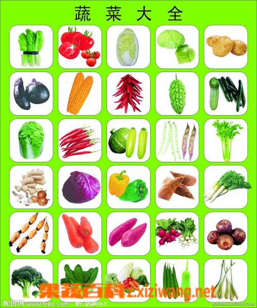 世界蔬菜种类大全,世界十大名蔬菜