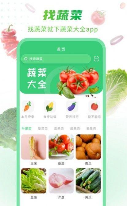 有机蔬菜大全购菜app软件下载v102
