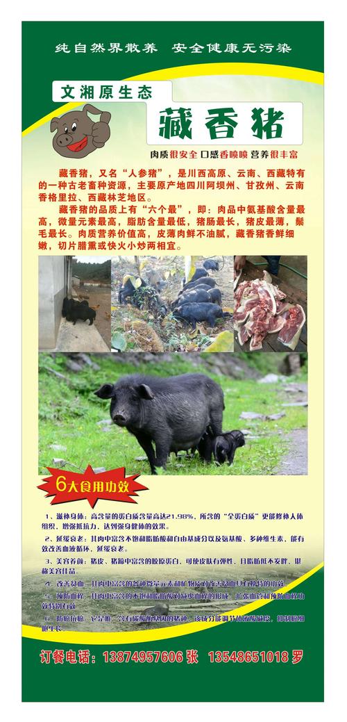 文湘农庄推出藏香猪系列菜品啦,食客们有福了!