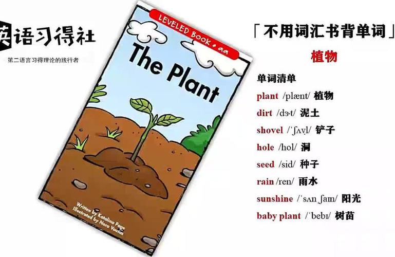 植物的英文名字