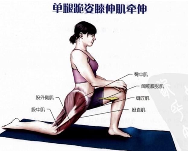 腘绳肌是大腿后侧一系列肌群的统称,是主要的屈膝肌群之一.