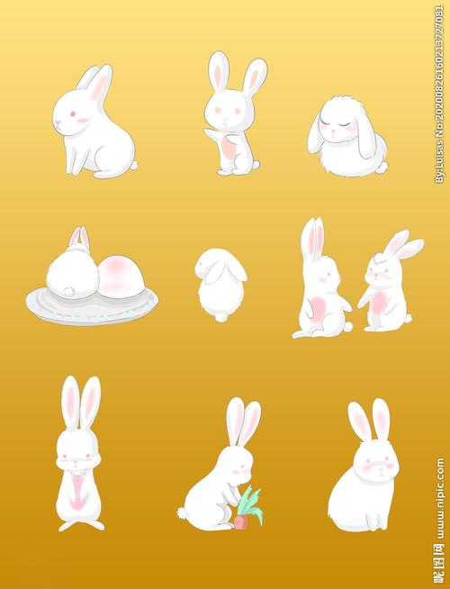 兔子设计图