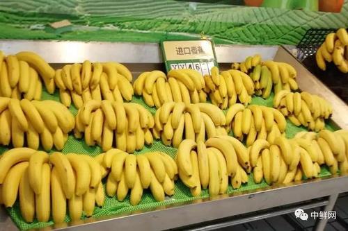 香蕉的订货存储保鲜控损及营销操作技巧