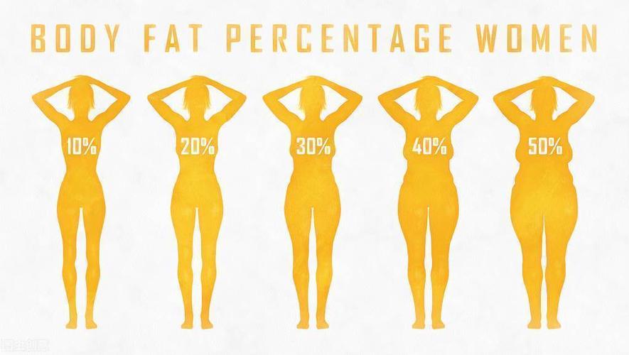 体脂率才是胖瘦的关键
