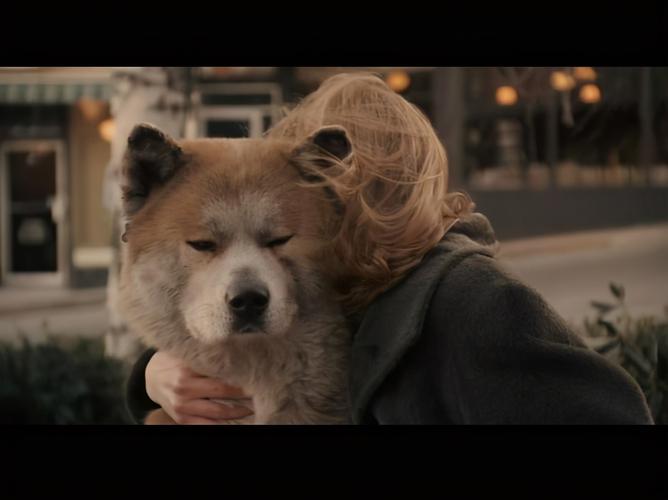 《忠犬八公》:爱是生命的救赎