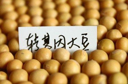 黑龙江农民偷种转基因大豆官方介入调查