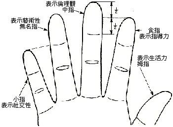 图解手相术之手指