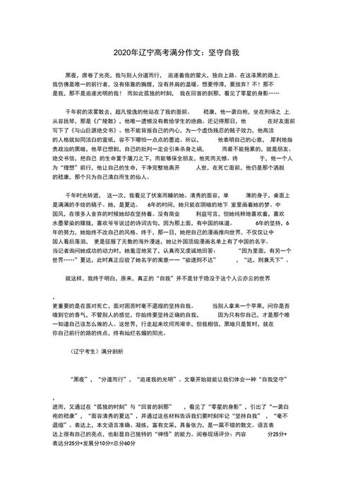 辽宁省2020年高考语文满分作文坚守自我素材