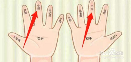 手指怎么分别是什么指