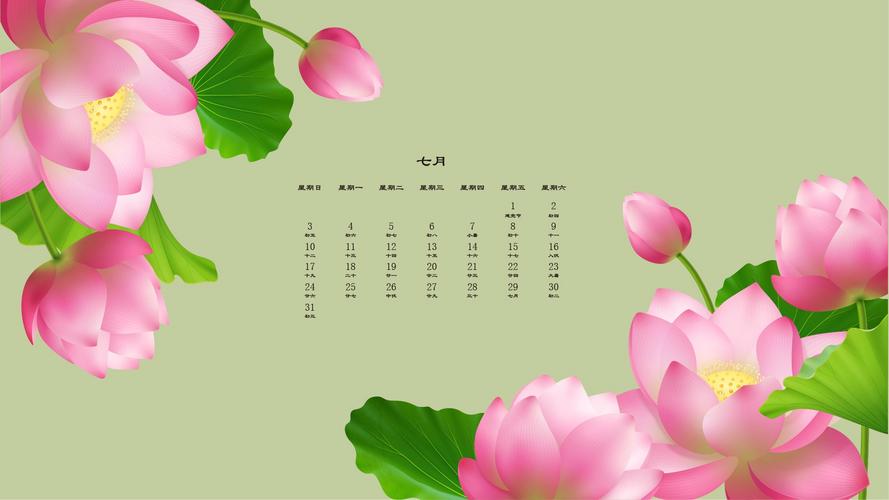 2022年7月荷花日历桌面壁纸,包括日历,月历,七月,荷花,花朵,壁纸等