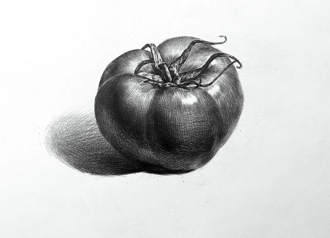 素描番茄步骤.1.定出番茄的大小和位置,勾出外轮廓. 2.画 - 抖音