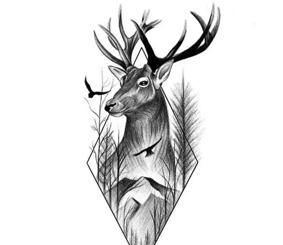 鹿头纹身图案#手臂鹿头纹身图案手稿#大臂纹身图片#女生纹身图 - 抖音