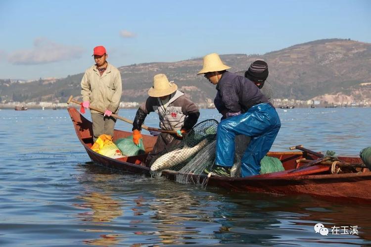 江川开渔节来了就在12月25日
