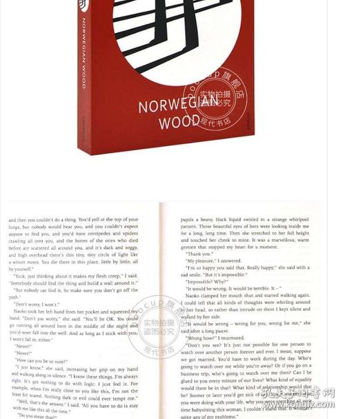 挪威的森林 村上春树 英文原版 norwegian wood 长篇爱情小说 haruki
