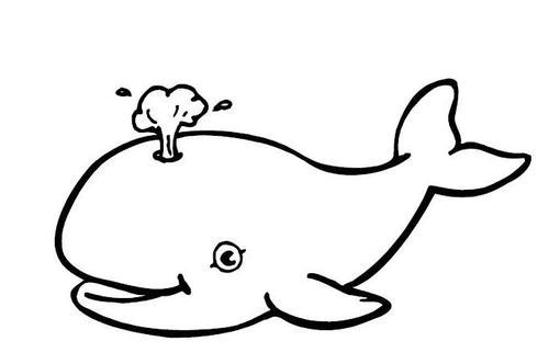 鲸的简笔画 简笔画图片大全-蒲城教育文学网