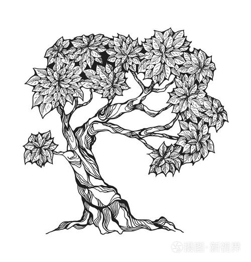 粗糙的树,叶子插画-正版商用图片0du1mz-摄图新视界