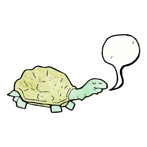 乌龟,向量,在白色背景上的卡通乌龟