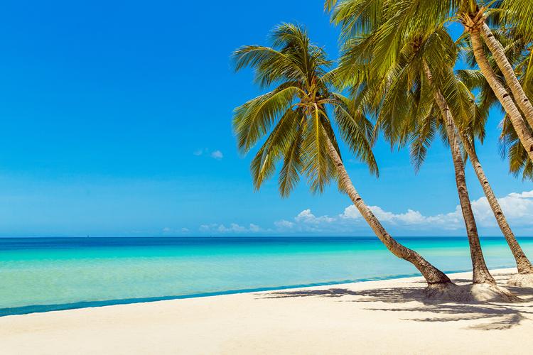 蓝天白云海边沙滩上的椰子树菲律宾博拉凯岛上美丽的热带海滩景观.