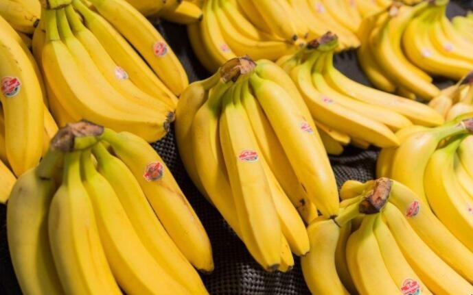 怎么挑选香蕉好吃