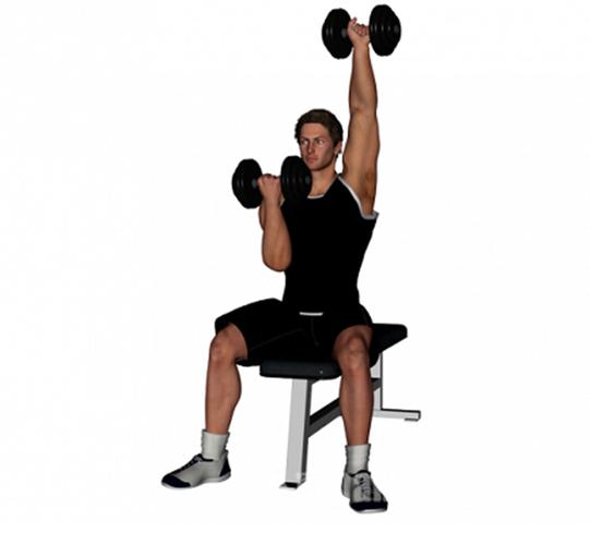 哑铃交替推举肩部训练的好动作打造强壮的三角肌
