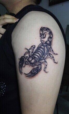 蝎子蝎子纹身图案流露出男人的霸气tag标签:蝎子男生胸部纹身图案