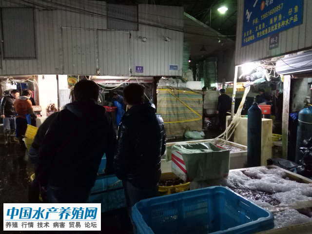 华东最大水产市场-上海铜川路要搬了 批发商去向未决