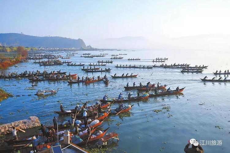 2018中国江川开渔节精彩尽在一部手机游云南