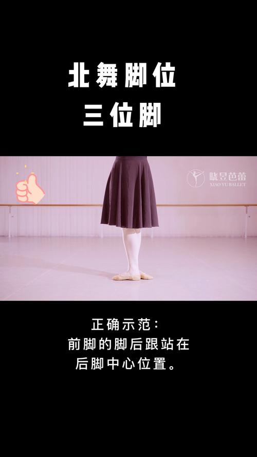 【线上教学】北舞脚位系列:三位脚_芭蕾舞_娱乐_舞蹈