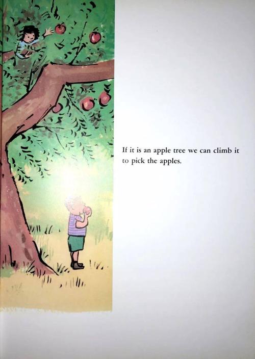 摘苹果英语怎么写