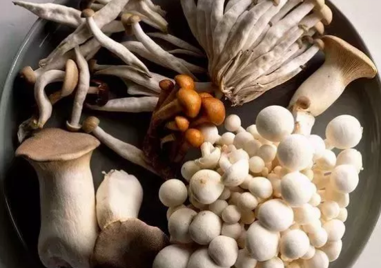 胆固醇高能吃蘑菇吗