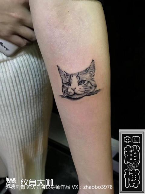 猫头纹身_纹身图案手稿图片_赵博的纹身作品集