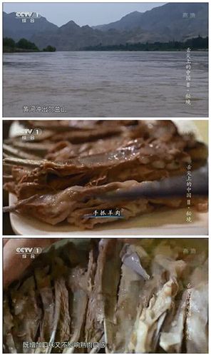 宁夏羊肉亮相舌尖上的中国第二季第6集