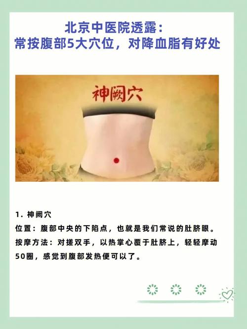 北京中医院透露:常按腹部5大穴位,对降血脂有好处 1. 神阙穴