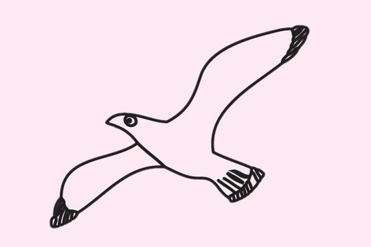 海鸥简笔画可爱图片涂色