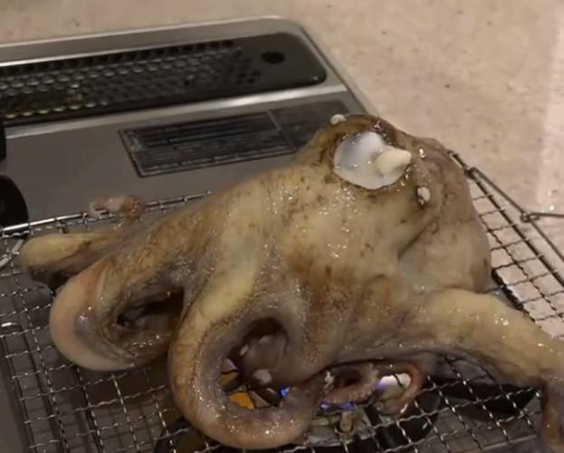 日本人碳烤活章鱼,直接放火炉上烤,烤好切块吃掉太满足!