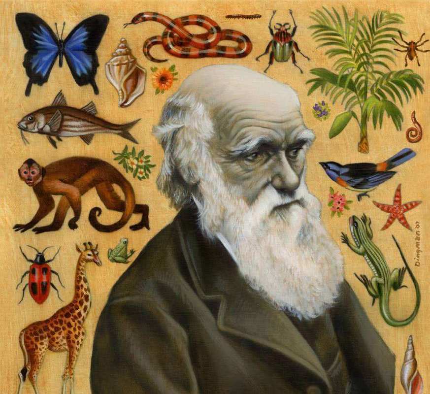 的想法和假说震惊了全世界——查尔斯·达尔文用他的进化论做到了这一