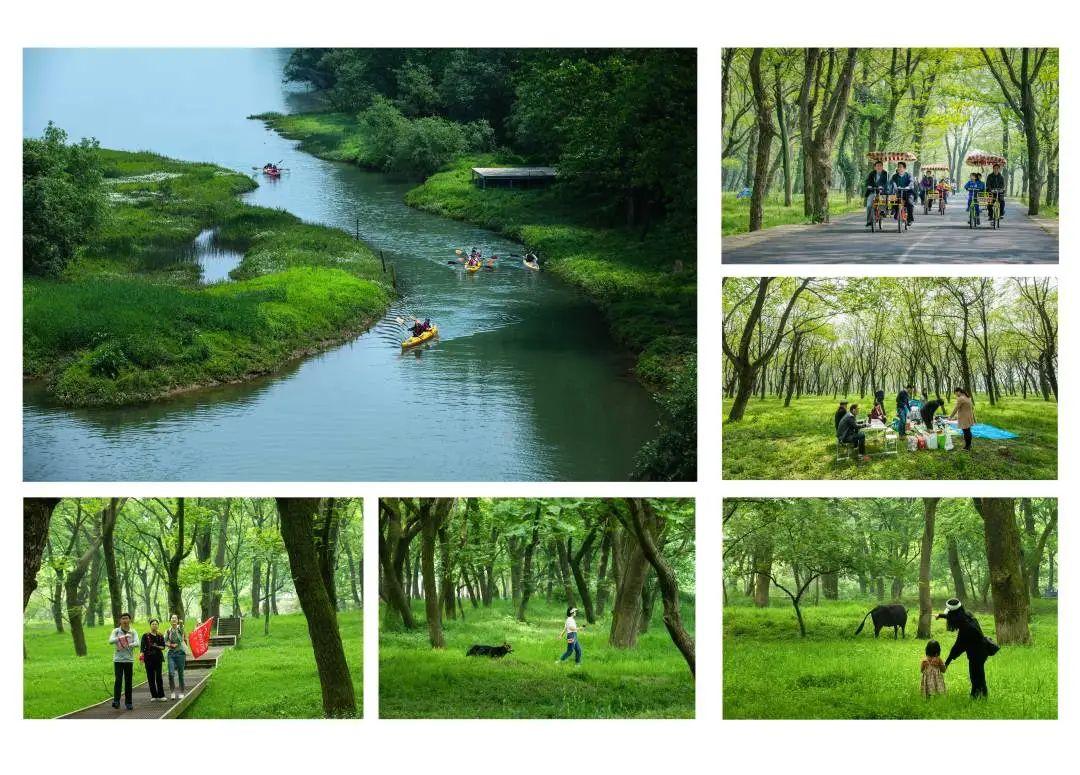 作品简介:山美水美,生态环境优,沿江而存的杭州市富阳区桐洲岛绿意