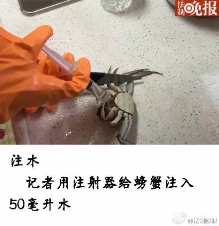 >  新闻中心 > 正文记者走访后得知,市场上的商贩都对螃蟹注水的做法