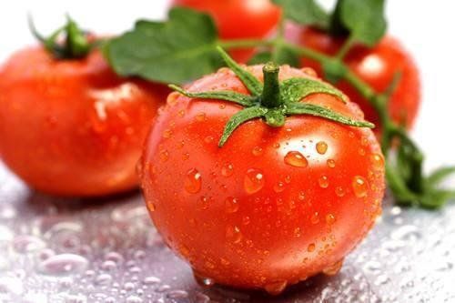 西红柿生吃应该什么时候最适合