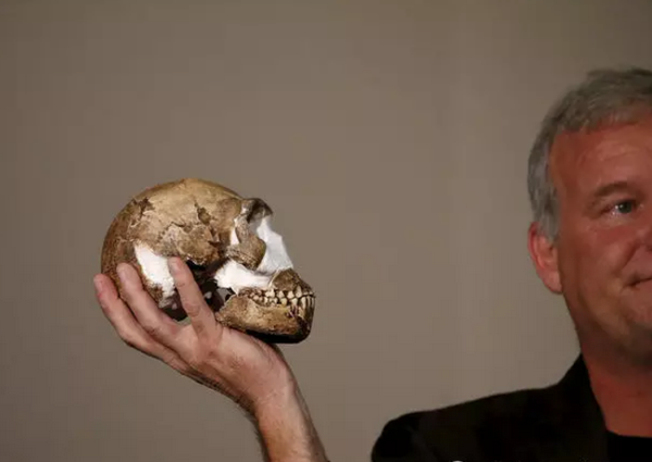 南非发现新人种遗骸:或改变人类对祖先认知