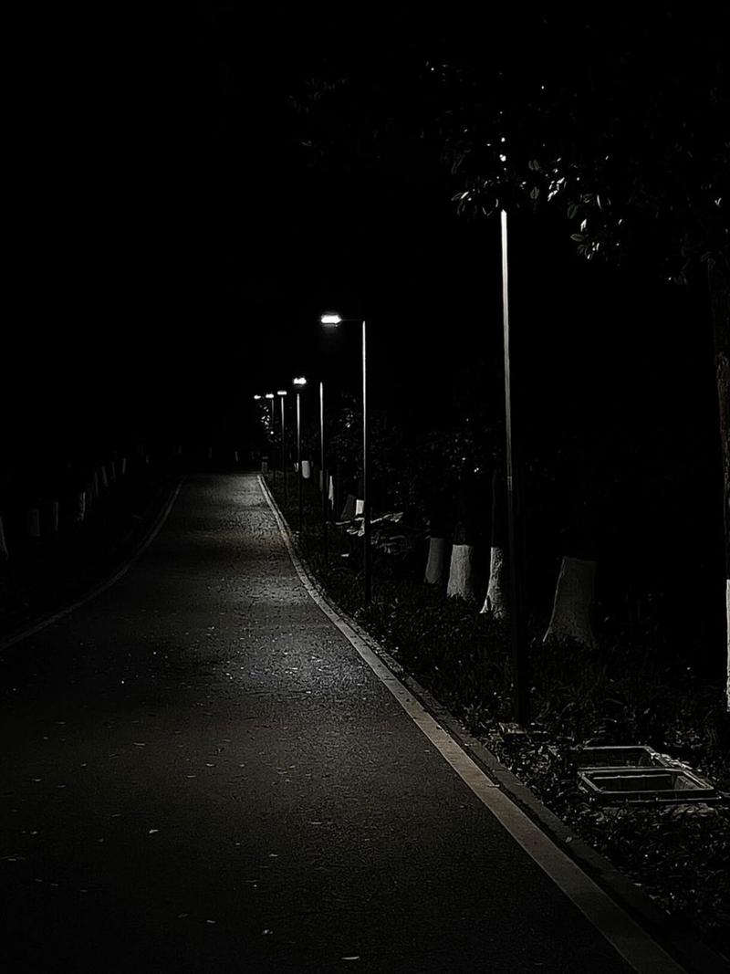 黑夜中孤独的路灯