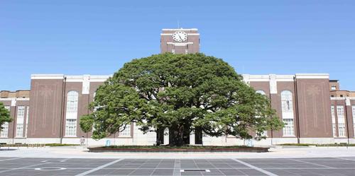 京都大学世界排名多少名在日本排第几