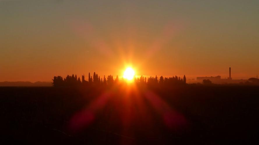清晨日出太阳光图片