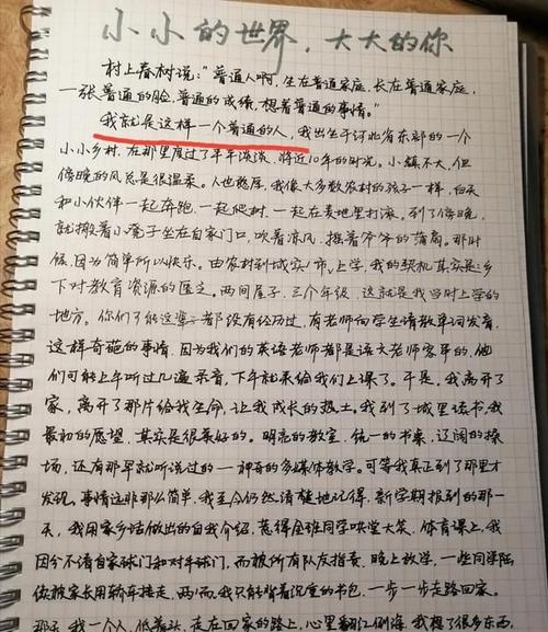 衡中才子张锡峰被世界一流大学录取了,高出分数线4分|衡水中学|演讲稿