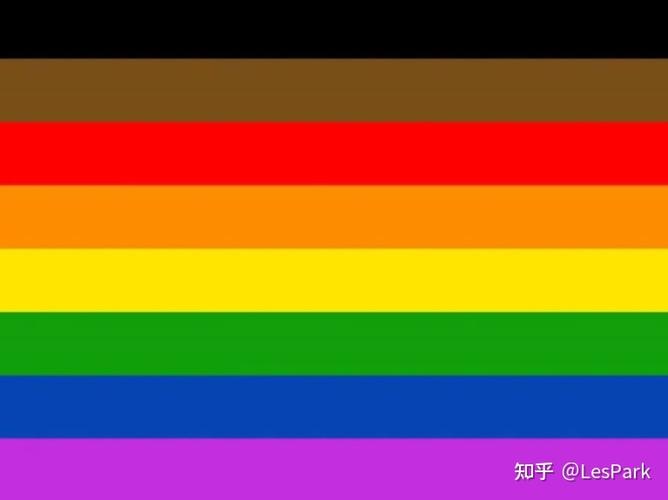 lgbtqia ④费城骄傲旗以下许多标志(双性恋,无性,非二进制等)体现了