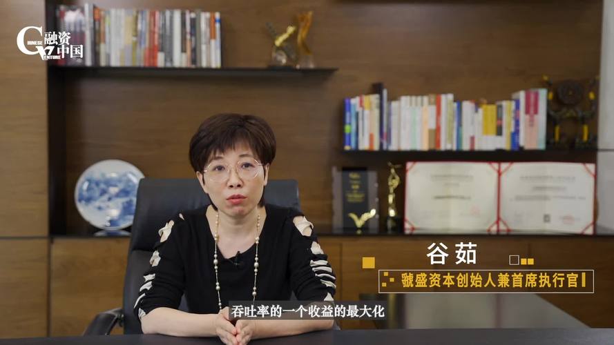 融中视频专访虢盛资本谷茹做保持稳健的投资者寻找有胆识的企业人