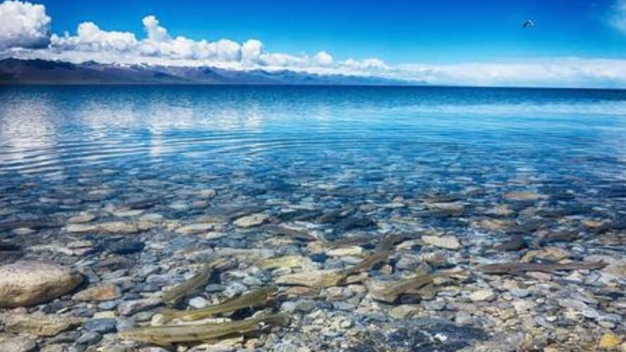 世界最大的咸水湖是什么湖名字叫什么